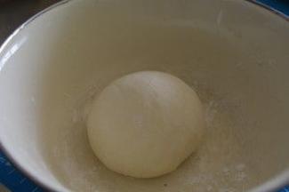 面粉和水活成光滑的面团，用保鲜膜盖盆静置备用。