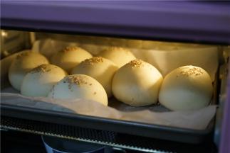 烤箱加上一碗清水，然后提前打开，将烤盘入烤箱里，醒发至二倍大就可以。我这次用的是一次发的烤制，口感也是很润软的哦。温度180度，烤时20分钟，注意期间要看一下，要是上色深了就要盖上锡纸。