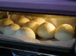 烤箱加上一碗清水，然后提前打开，将烤盘入烤箱里，醒发至二倍大就可以。我这次用的是一次发的烤制，口感也是很润软的哦。温度180度，烤时20分钟，注意期间要看一下，要是上色深了就要盖上锡纸。