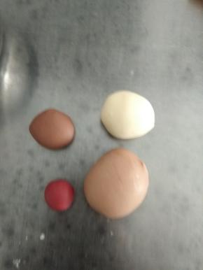 取100克加入可可粉，揉成浅的可可颜色，取15克加入可可粉，揉成深的可可颜色，取5克加入红曲粉，揉成红色，剩下的白色面团备用