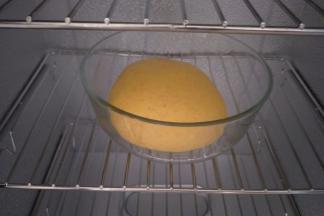 放入盆中，放到发酵箱或者温度大约在27度左右的环境下，发酵约2倍大。