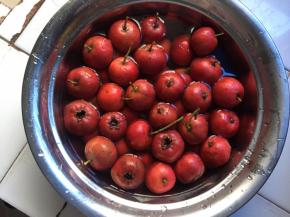 将山楂用水洗干净