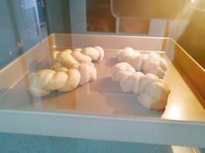 另一烤盘加入半烤盘水放入烤箱最下层，放面包的烤盘放入烤箱的中下层，选择烤箱的“发酵”功能，35度二次发酵40分钟。