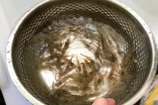 河虾用清水冲洗干净，沥干水分。