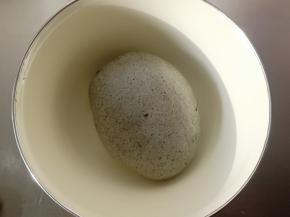 放入温暖处进行一发