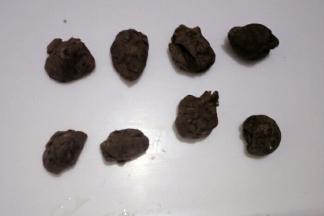 剩下的奥利奥面团分成8等份，用来制作小猪的帽子，可以发挥自己想像哈，这一步两个孩子制作的，拍到就是成品啦