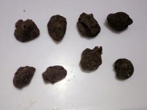 剩下的奥利奥面团分成8等份，用来制作小猪的帽子，可以发挥自己想像哈，这一步两个孩子制作的，拍到就是成品啦