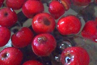 锅中添水，放入山楂