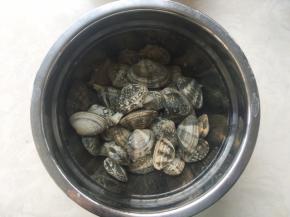 新买回来的花蛤清新干净，因为我现在居住在内陆，花蛤运过来的时候，沙子吐的都差不多啦，要是沿海城市，建议用干净的水加一点点盐，静置让花蛤吐吐沙子
