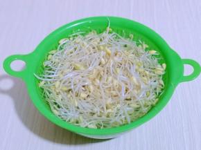 黄豆芽洗干净，冷水泡10分钟，捞出淋干水分。