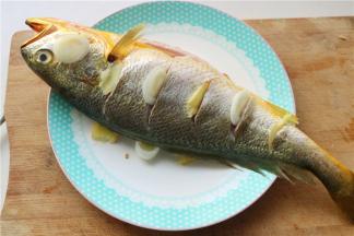 处理之后的鱼，放在盘子里，鱼身下面垫上姜片和葱段，肚子里也塞一些，然后上面也摆上葱段和姜片。