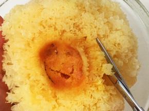 用剪刀去掉根部