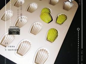 美美哒的小贝壳