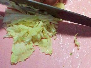 白菜切丝