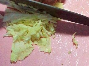 白菜切丝