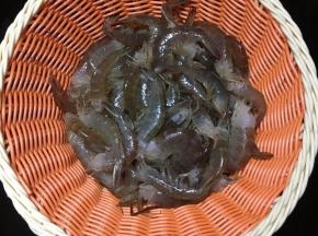 大虾洗净，去虾头和虾肠备用。