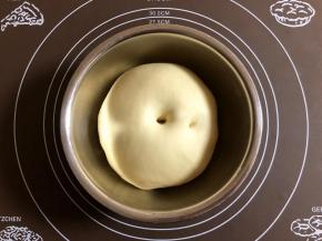 面团发至2.5倍大，用手指沾面粉在面团中间戳一个洞，指洞不塌陷轻微回缩即发酵好了。