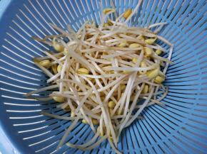 黄豆芽清洗干净沥掉水