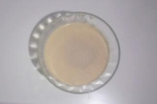 酵母放入牛奶中融化