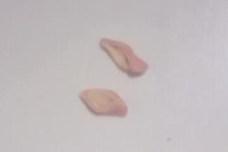 从中间切开，把两头捏起，如图