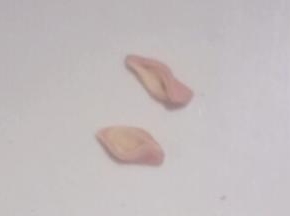从中间切开，把两头捏起，如图