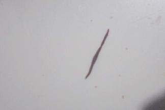 把马嘴巴面团搓成长条，长度约1.5cm