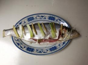 鰳鱼刀口塞入姜片大葱，下面和鱼肚也放姜片大葱