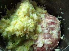白菜切成碎末，挤干水分，跟肉沫放一起