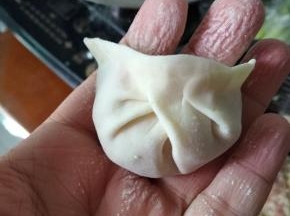 左边也一样往中间折，折成如图这样