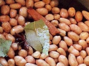 放盐调味