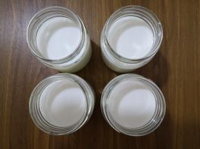 7、将牛奶装入瓶中。
