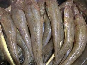 准备食材