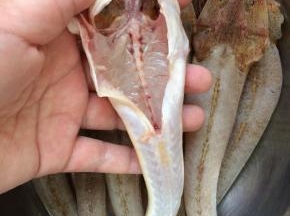 去掉鱼头鱼肚子里的东西，洗净。