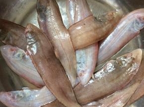 准备食材
