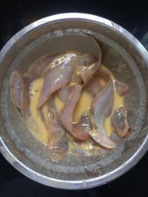 用手抓匀，使其每条鱼上面都沾有即可