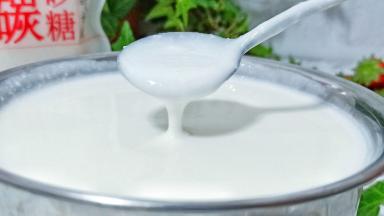 看看这是发酵好的酸奶。