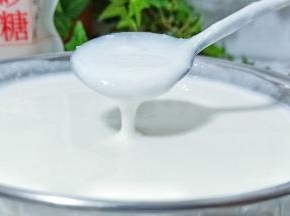 看看这是发酵好的酸奶。