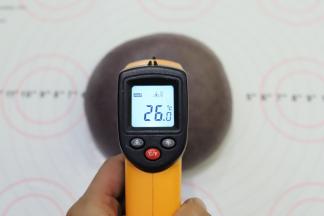 取出面团，面温大概在26度左右。