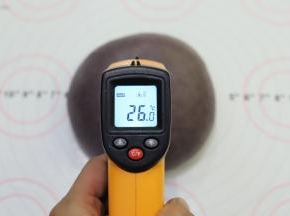 取出面团，面温大概在26度左右。