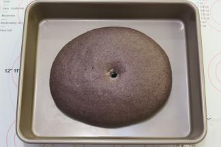 手沾面粉插入面团，不塌陷不回缩的肚脐眼即发酵完成