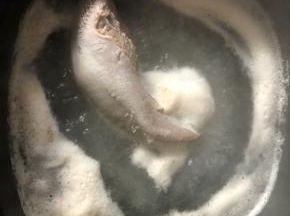 煮沸以后再小火煮2到3分钟即可。