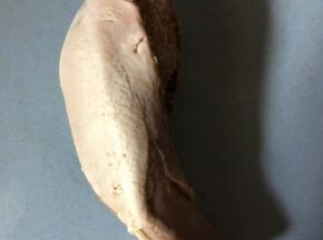 捞出猪舌用流水冲洗干净。