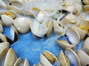 不用任何调料，够鲜够甜