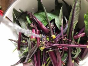 冲洗干净后，沥干水分