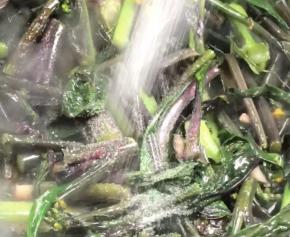 调入盐炒匀即可