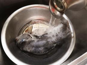 1.	海参斑是冷冻的，所以先来解冻，这时烧一壶开水，等海参斑解冻之后，把开水浇到鱼身上，目的是用开水来烫海参斑的鱼皮，大约2—3分钟左右，