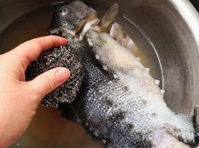 2.	再用钢丝球使劲搓鱼身上的沙状鱼皮，将其去掉，不然吃起来口感粗糙，容易伤到牙齿和口腔，