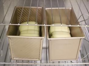 发酵箱设置温度为32度，湿度75度，时间1小时。