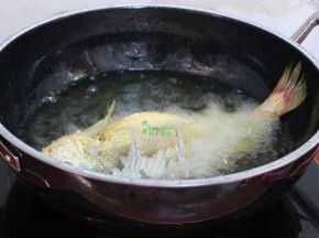 热锅，油温150度左右，把洗净的黄花鱼，放入油锅炸至外皮微黄，六成熟，出锅。