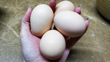 鸡蛋4个